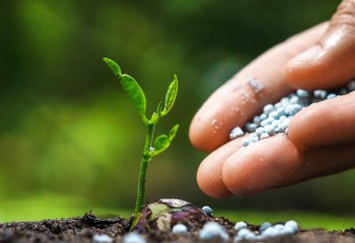 氯化鈀、醋酸鈀、DPPF二氯化鈀、DBA鈀、四三苯基膦鈀等均相催化劑的生產與銷售。